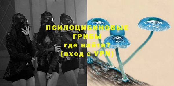СК Абинск