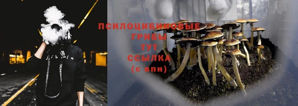 гашиш Абаза