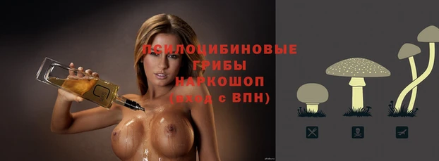 гашиш Абаза