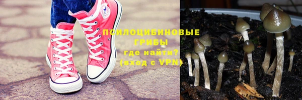 СК Абинск