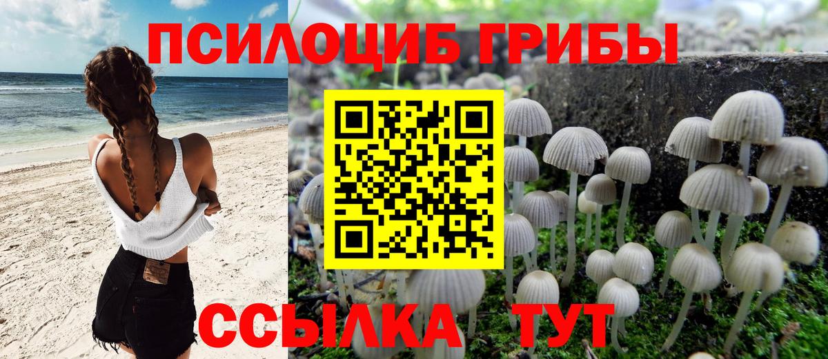 Псилоцибиновые грибы мицелий Екатеринбург
